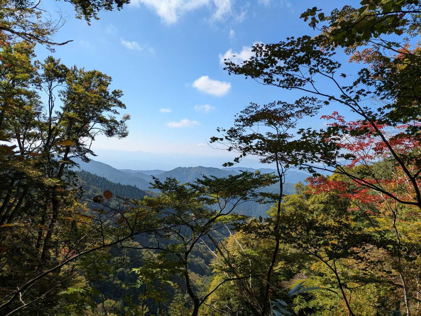 新道ルートのビューポイント✨