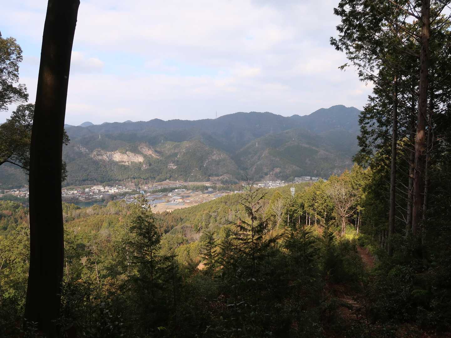 ベンチより