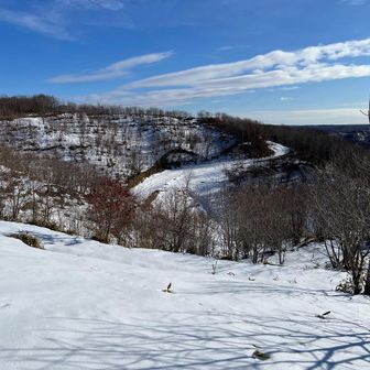 さーて、戻りますか。