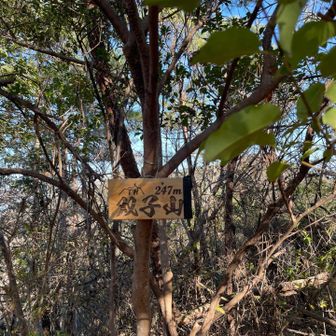 双子山山頂♊️