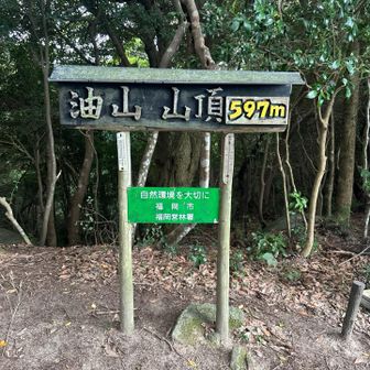 ここにもピークマーク