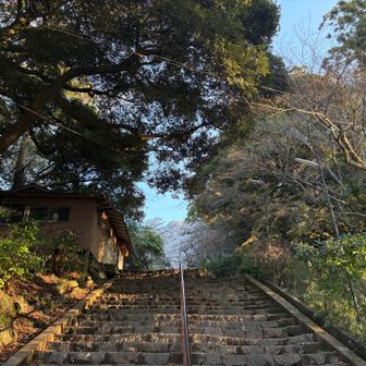 登山口から男体山山頂が見える。
この一直線上の景色が意外と好き😊