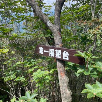 新看板🙇