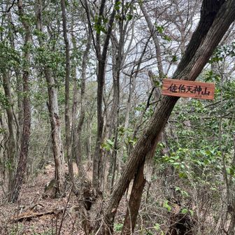 ついに初めての天神山山頂