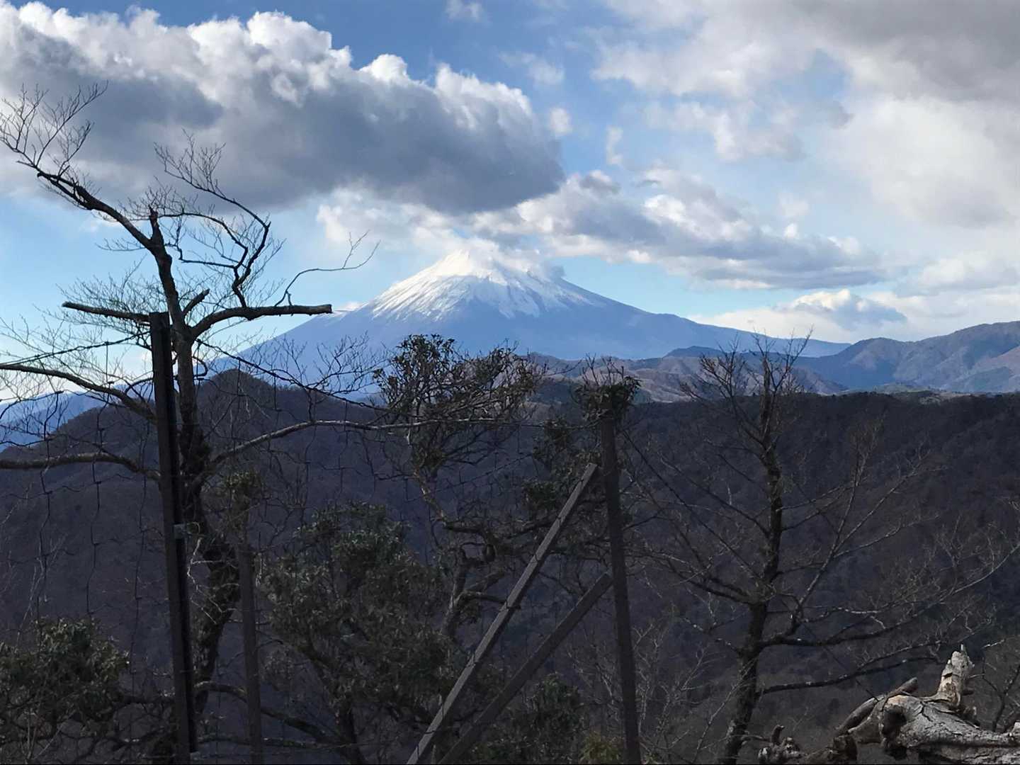 見えていた