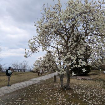 50年前にはお寺があったとか