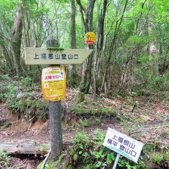 横平登山口とうちゃこ😄さぁ～張り切って登って行きましょう👍