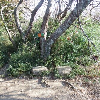 山頂到着です。