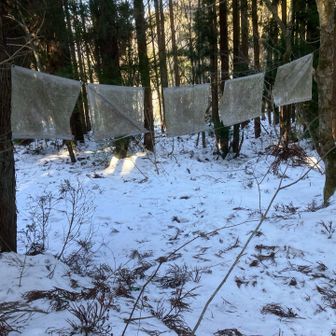 獅子ヶ谷登山口に着きました。
ダウンは暑くてここで脱ぐ。