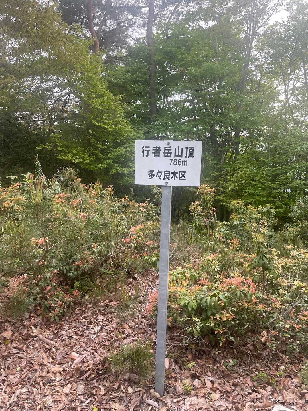行者岳 往復コースの写真