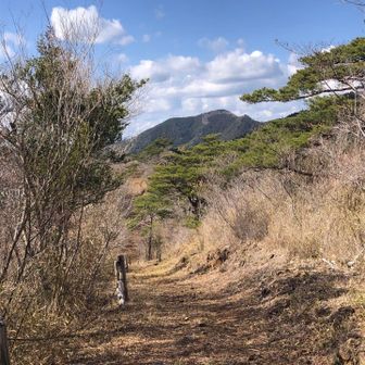 さらに奥に進みます。ギフチョウが現れたのは最初だけ。あれからまったく現れません。