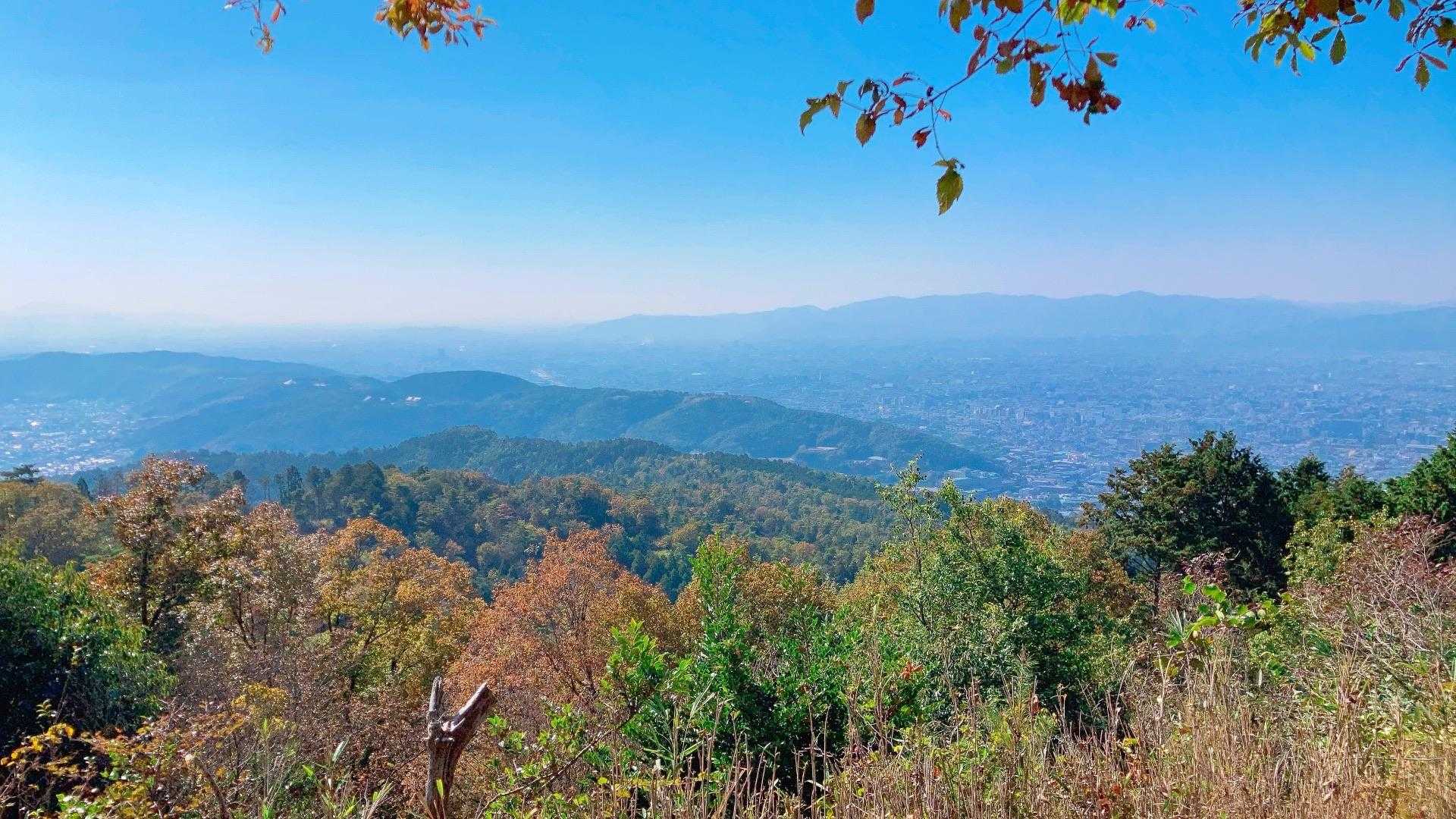 蹴上コース | 京都市街を一望できる大文字山頂の絶景の写真