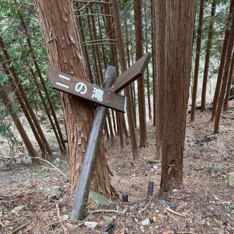 この看板は一個手前のです、下に落ちてます、このまま下に行ったら間違えます！