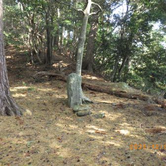 小祠(こぼこら)に積もりし落ち葉手で払ふ
