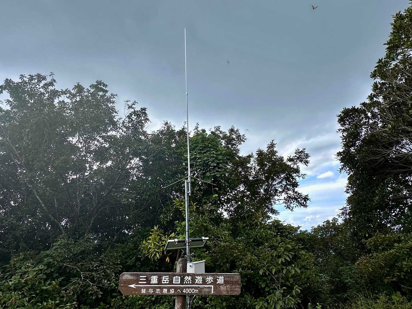今にも降り出しそうな空です☁️😅