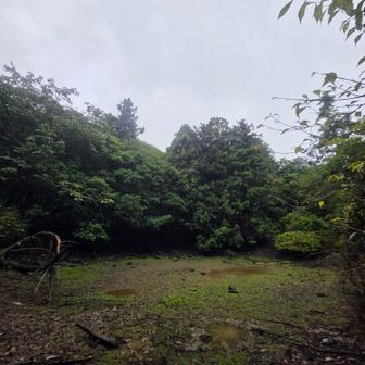 塵無池に行ってみたが、水が少ない