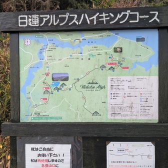ってわけで登山口まで無事下山
