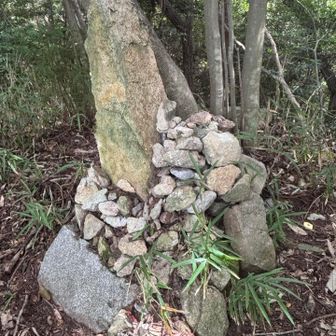 物見山山頂です！