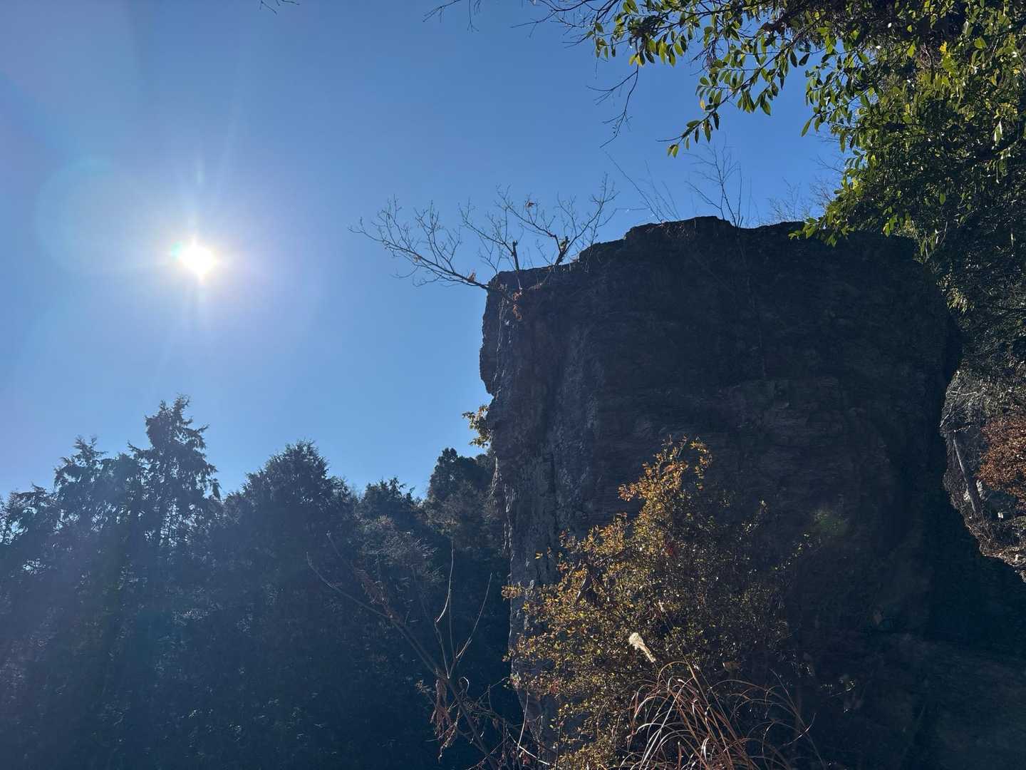 弓立山 往復コースの写真
