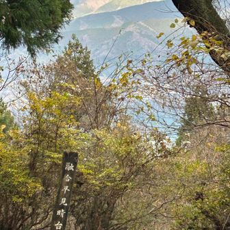 空が明るくなってきた^_^