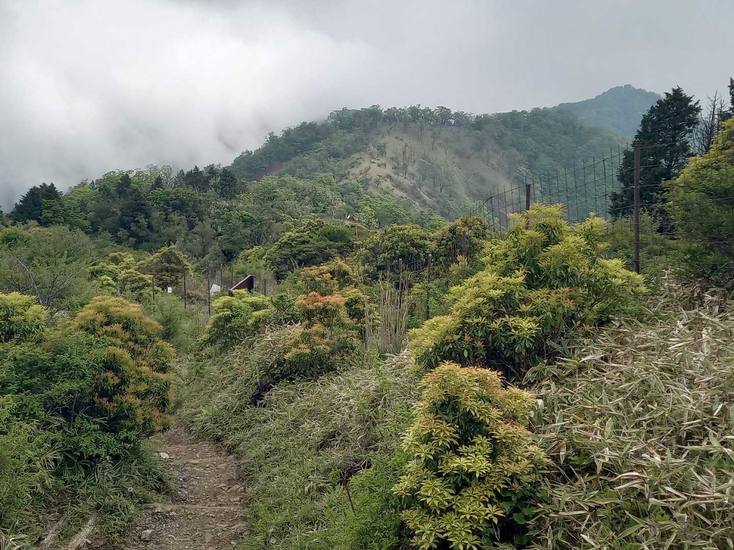 尊仏山荘の山バッジをGETすべく写真撮りを抑え、急ぎ足で向かう。営業時間は4時だ(；´Д｀)。