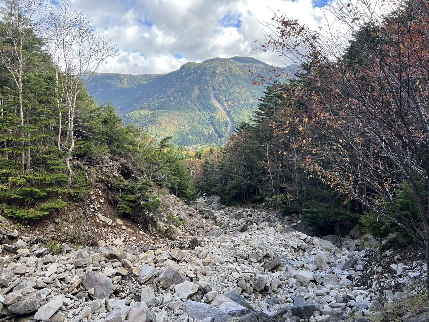 すずらん峠-蓼科山 周回コースの写真