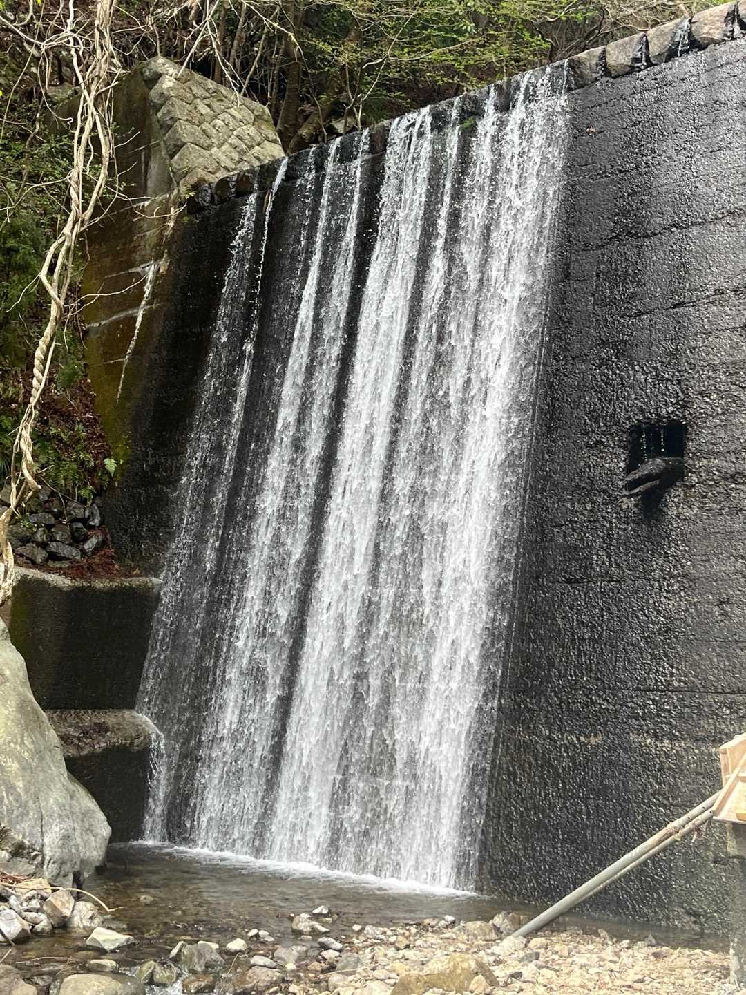 蓑毛バス停-大山-ヤビツ峠 周回コースの写真