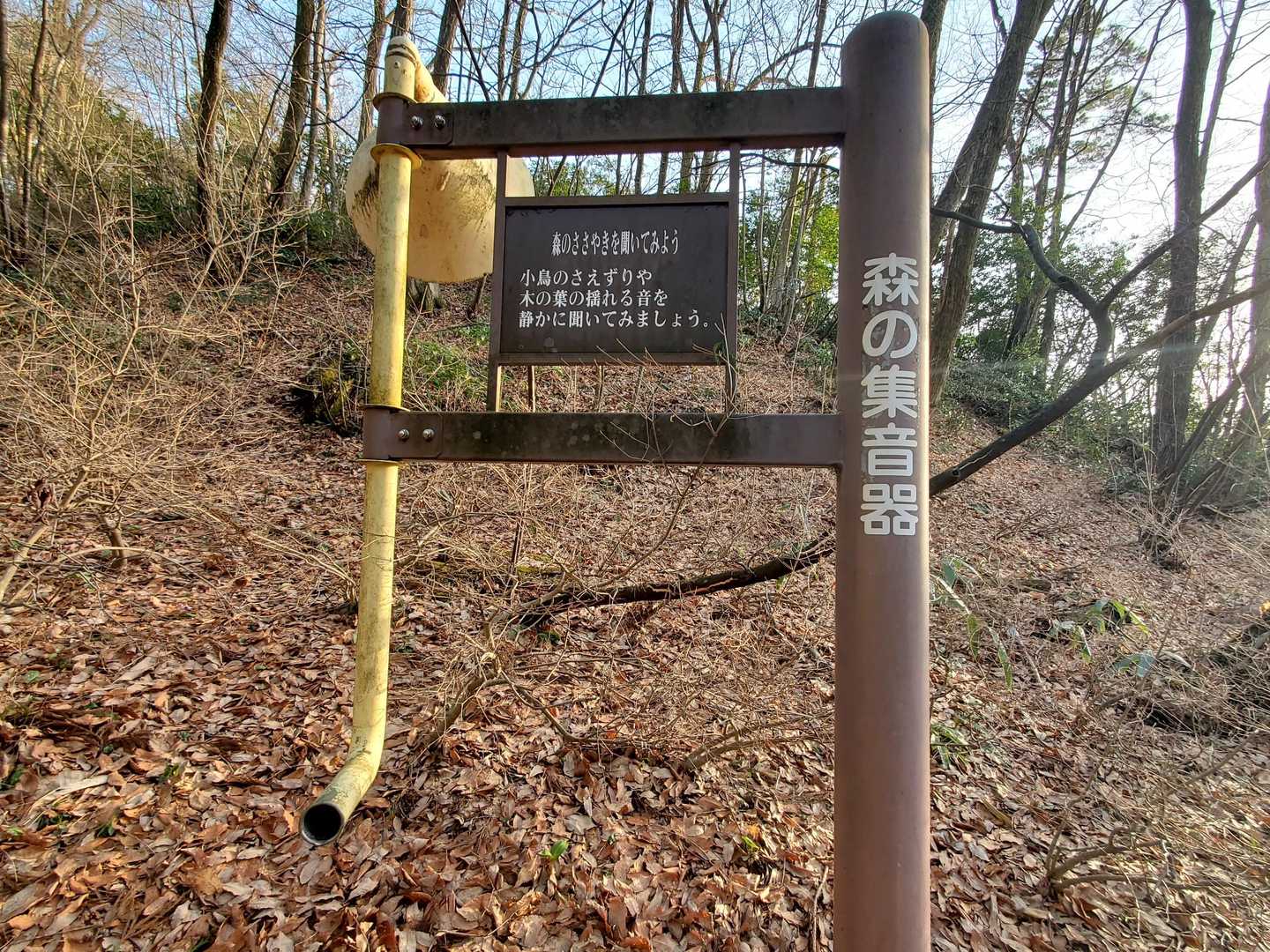 集音器があったので鳥の囀りを聞こうとしたら運良く⁉️17時のサイレンがなった🤣