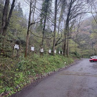 最後に
やっぱり高尾山もね💪