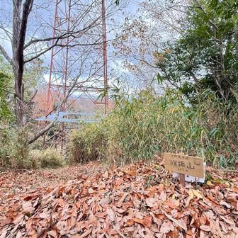 展望ないけど昔ここで旗振りしたんでしょうね🤔