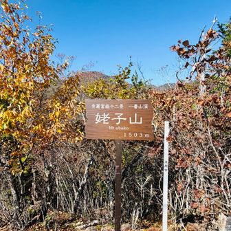 姥子山（東峰）
秀麗富嶽十二景の一番です。立派な標識あります。

各地に姥子の逸話がありますが、姥は山姥（やまんば）　子は金太郎を指す事が多いようですが、ここの姥子の名前の由来は？