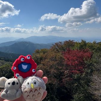 展望台にてミャクミャクのぬい撮り
