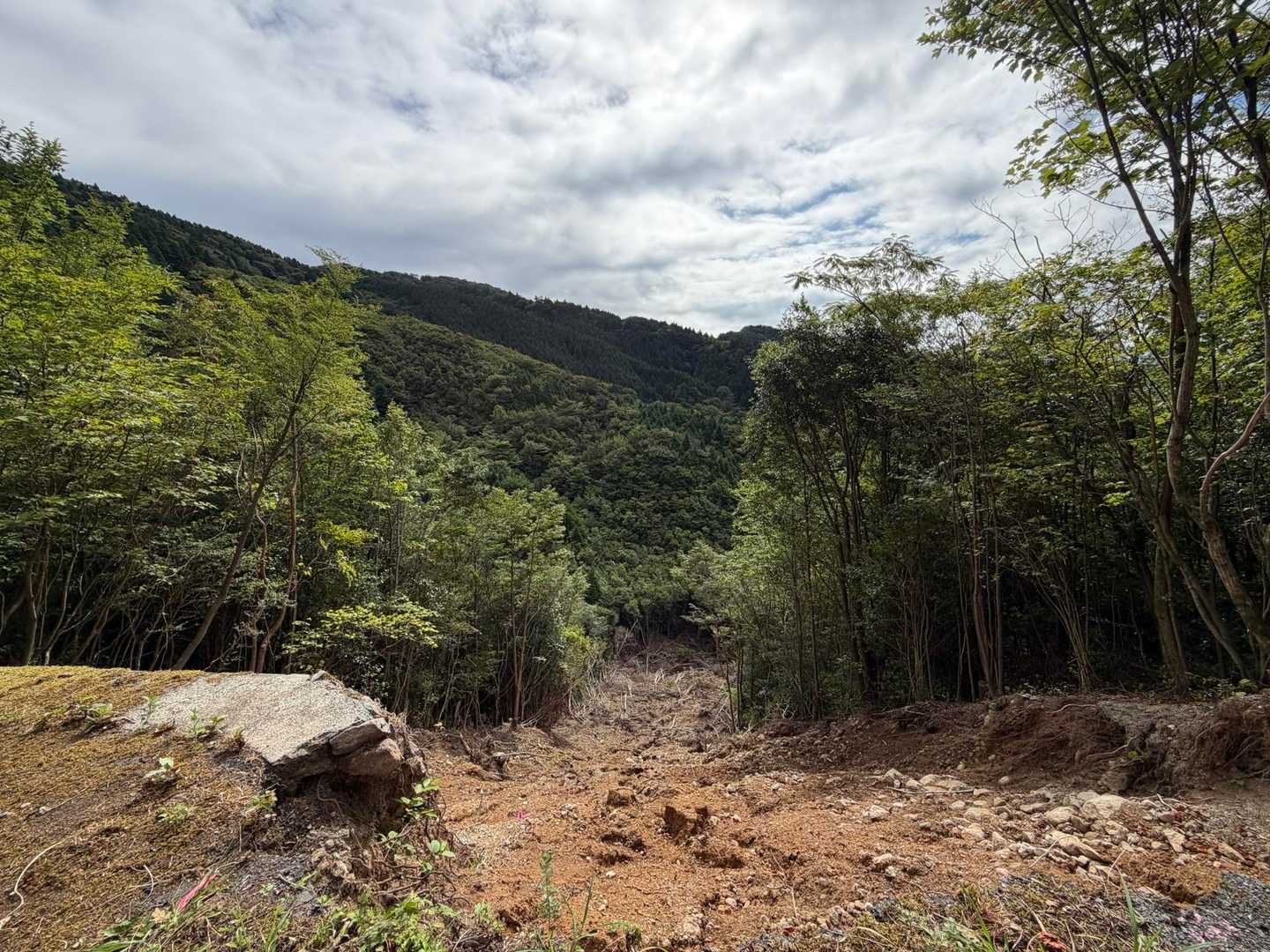 小鈴山-酒呑童子山-ハナグロ山 周回コースの写真