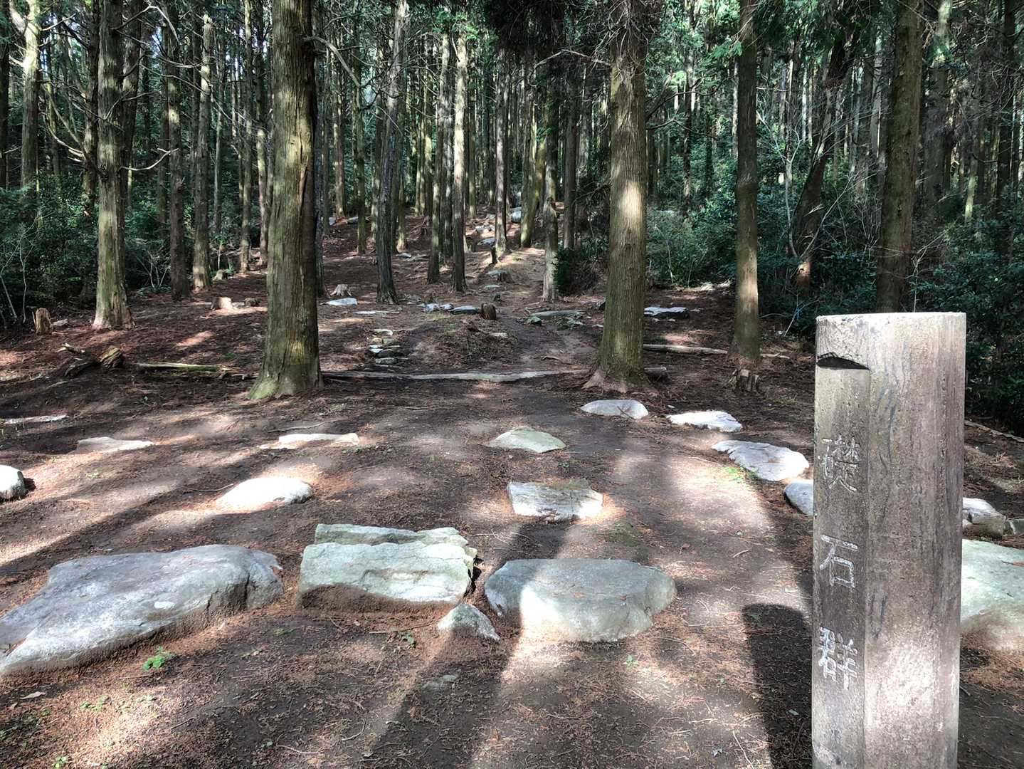 基山 往復コースの写真