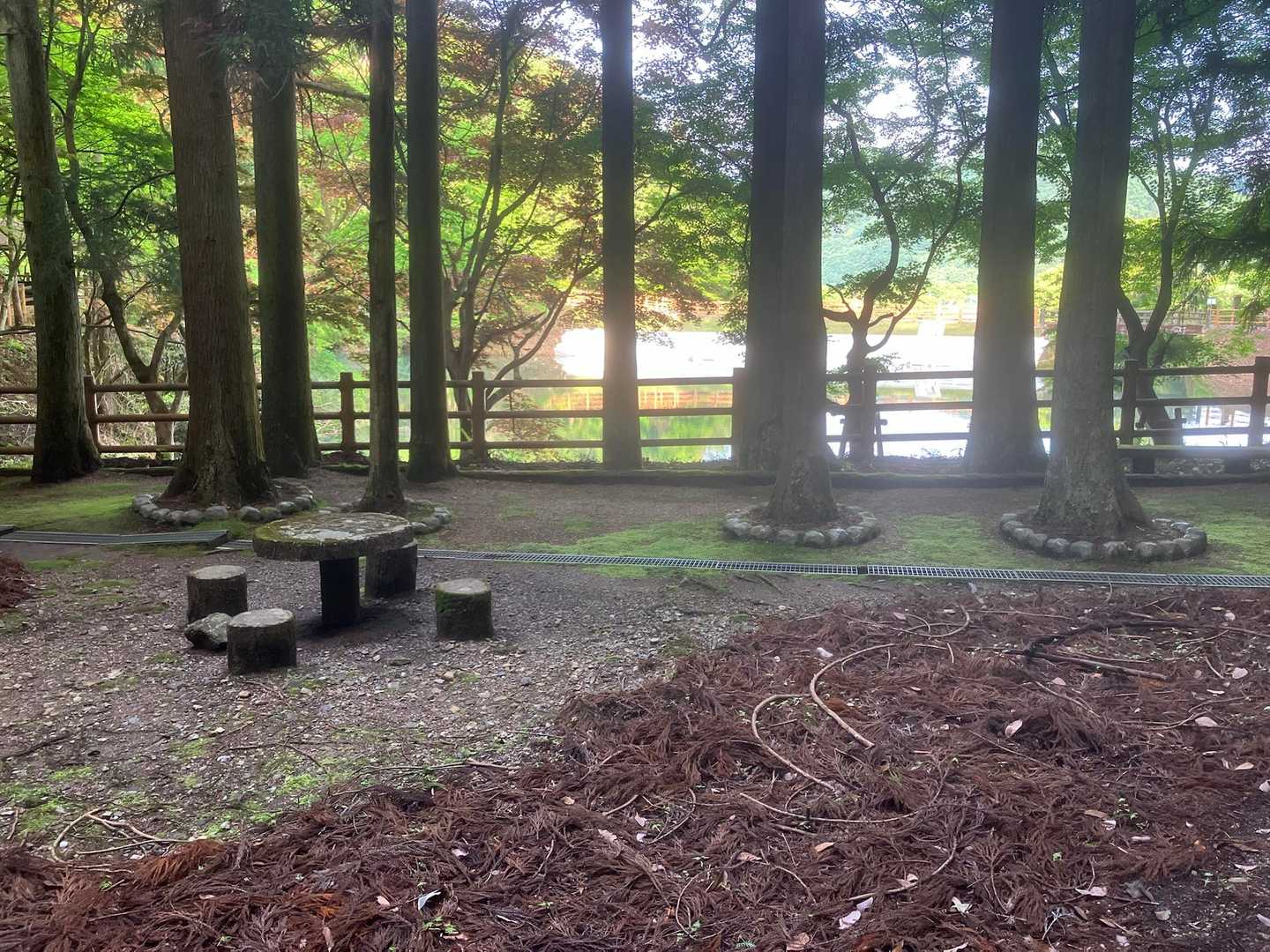 ベンチあり。
