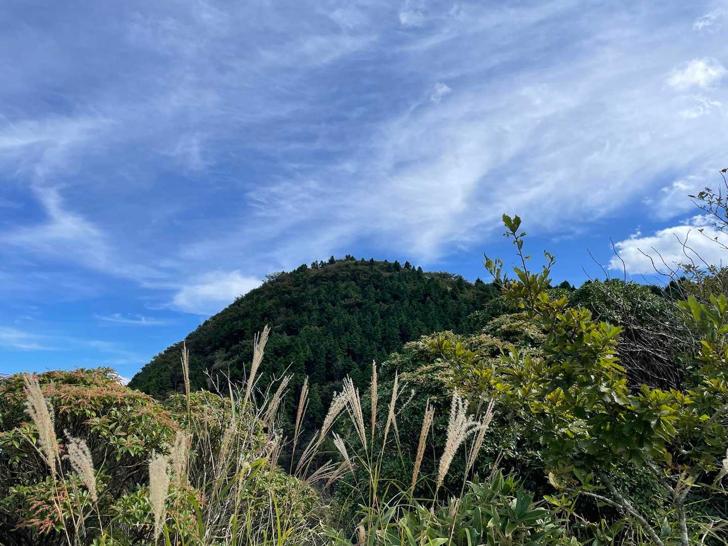 山頂？