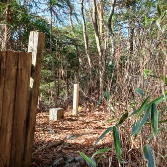 三角点はお社の後ろ