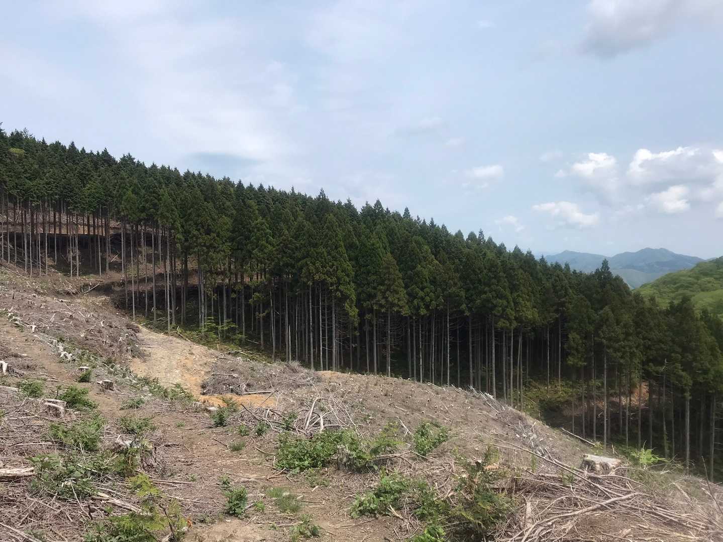 星山東登山口-星山-扇山-五輪山-櫃ヶ山-櫃ヶ山登山口 縦走コースの写真