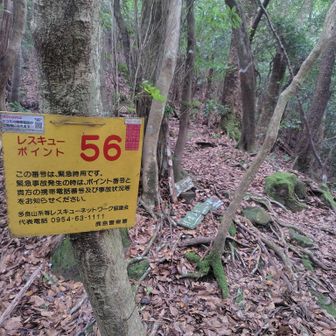レスキュー56
