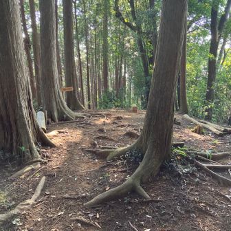 山頂です。