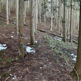 スタートはこんな感じ〜