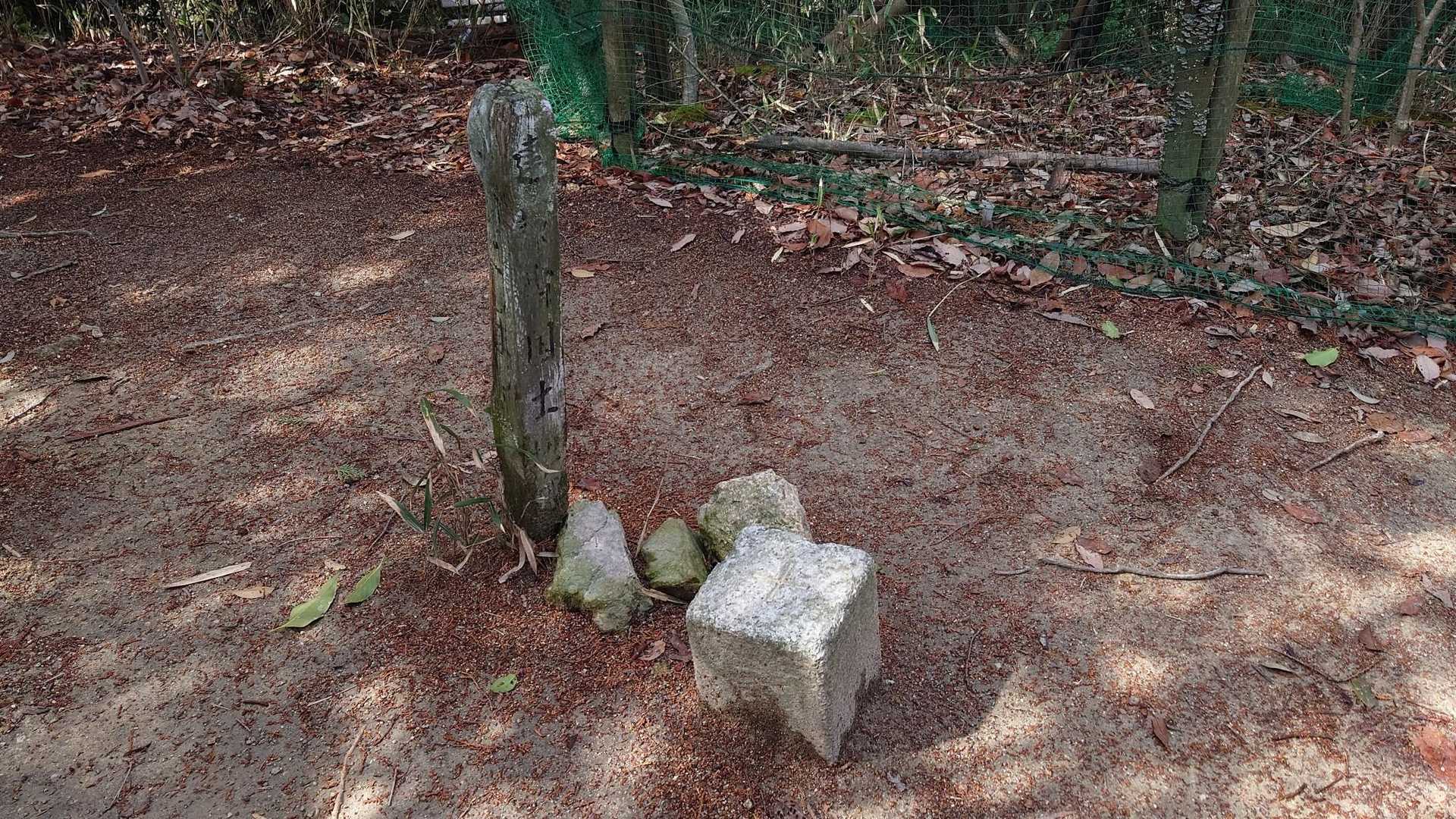 三等三角点▲あります✋