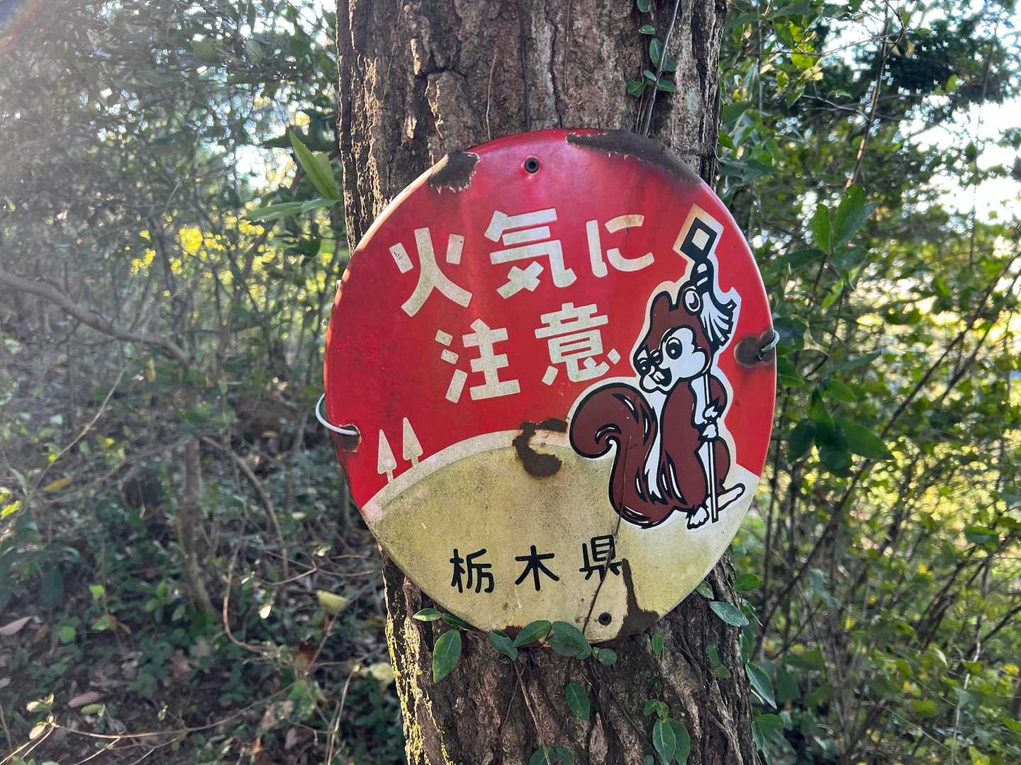 久しぶりの栃木県の山
