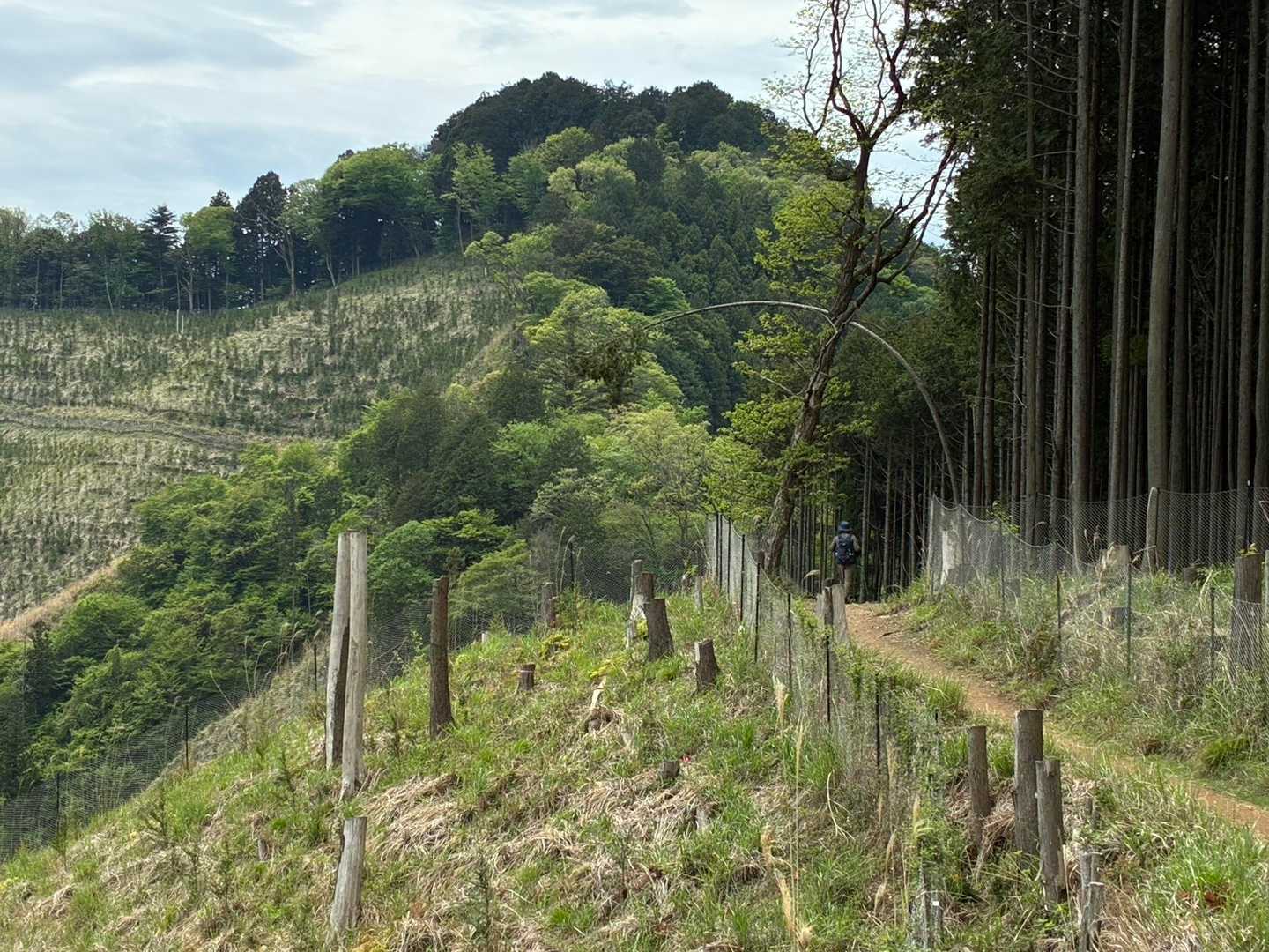 高水三山(高水山・岩茸石山・惣岳山) / koyunisoのハイキングデータ