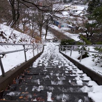 登って下る〜。
しっかりトレーニング出来ました♬