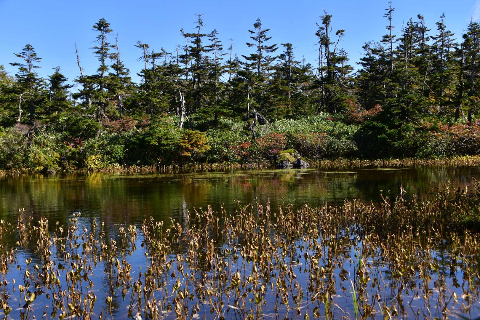裏岩手連峰登山口-畚岳-諸檜岳-前諸桧-嶮岨森-源太ヶ原登 縦走コースの写真