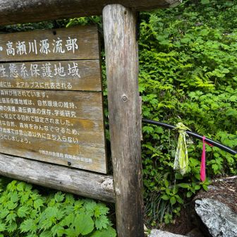 登山口の水、出てることあるのかな🤔