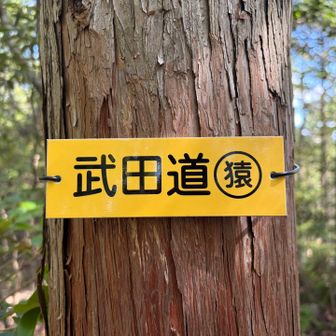 新しい看板発見！