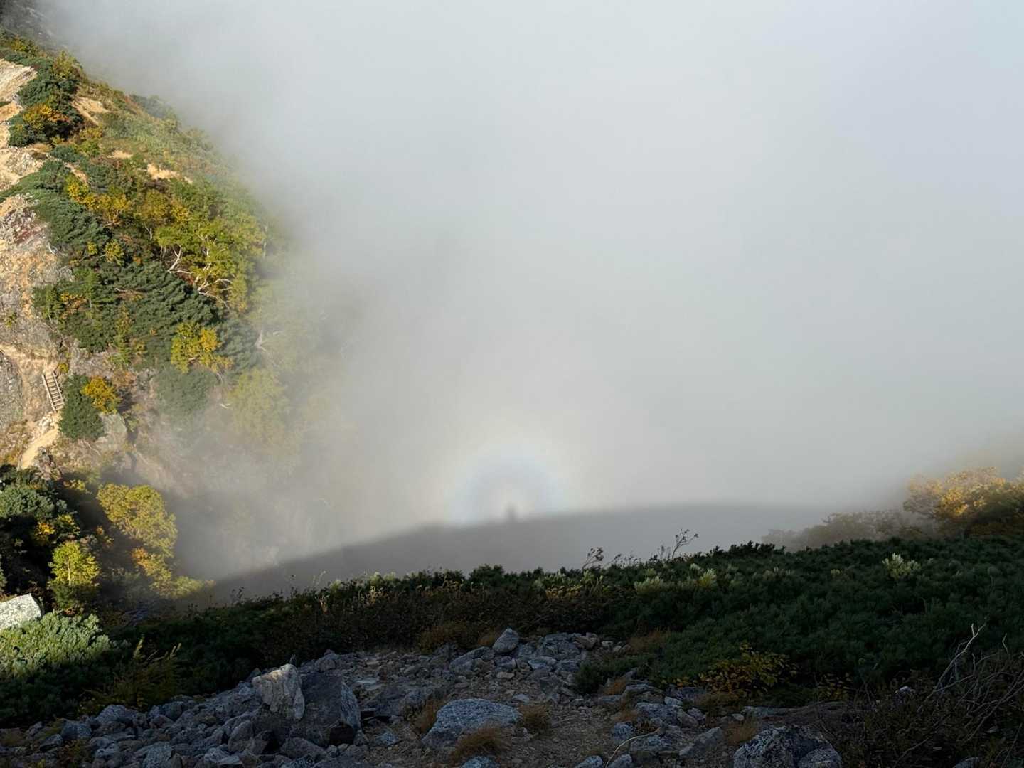 ブロッケン🌈