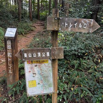 分岐は、わかりやすい